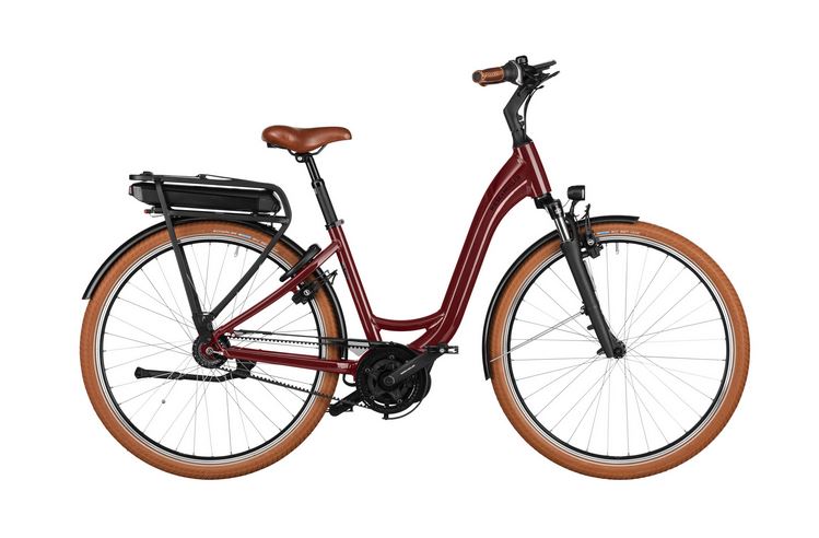 RIESE & MÜLLER Swing4 silent 500 Wh